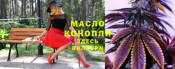 индика Арсеньев