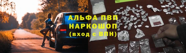 индика Арсеньев