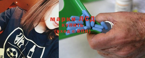 индика Арсеньев
