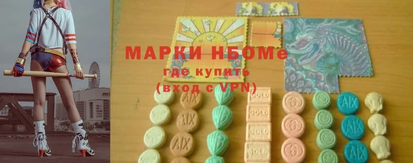 индика Арсеньев