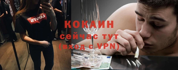 индика Арсеньев