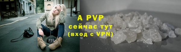 индика Арсеньев