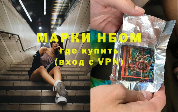 индика Арсеньев