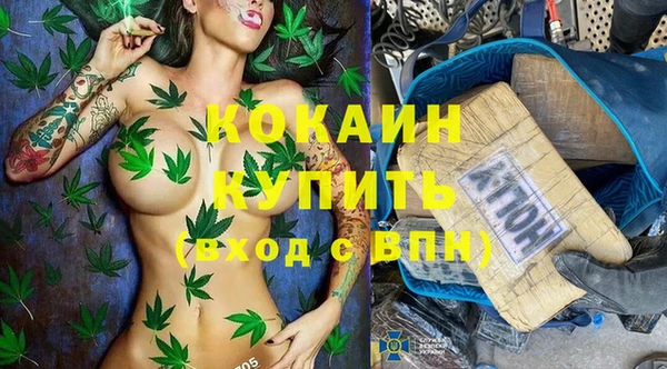 мяу мяу мука Аркадак