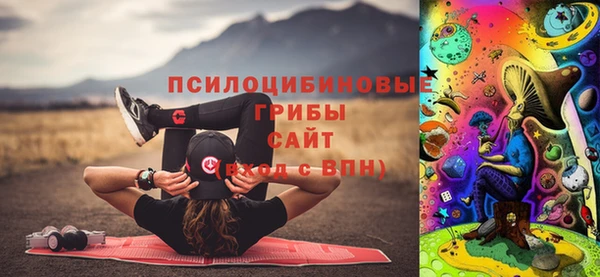 мяу мяу мука Аркадак