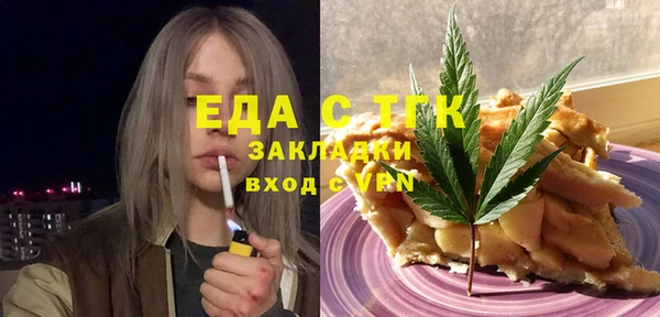 индика Арсеньев