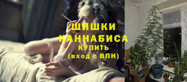 твердый Протвино
