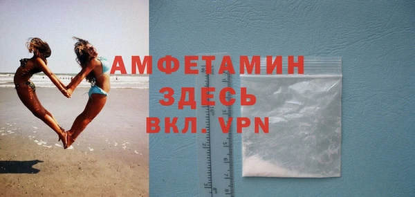 индика Арсеньев